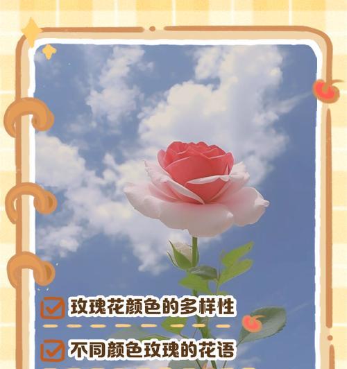 玫瑰花语有哪些不同的解释？玫瑰的不同颜色代表什么？
