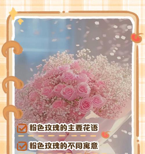 玫瑰花语有哪些不同的解释？玫瑰的不同颜色代表什么？