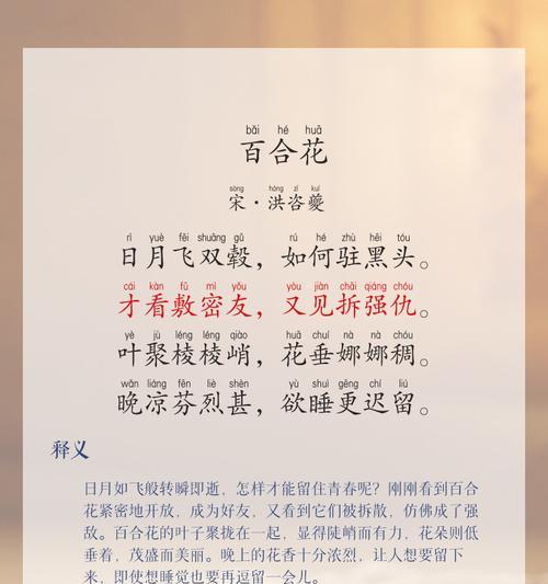 百合花的花语含义是什么？它传递了什么信息？
