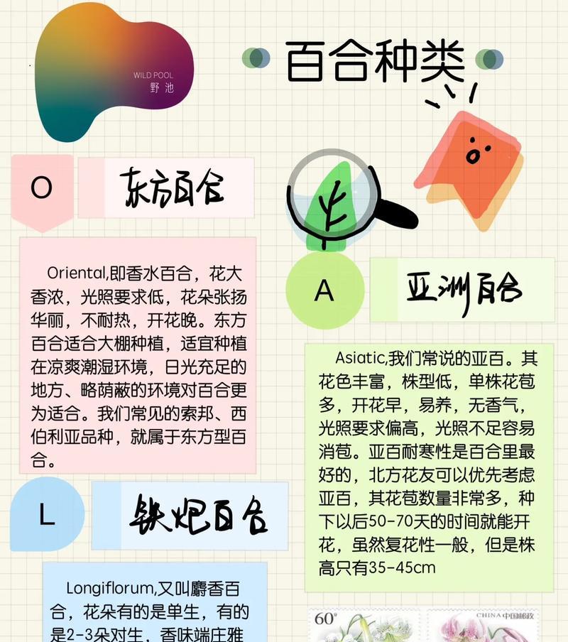 百合花的花语含义是什么？它传递了什么信息？
