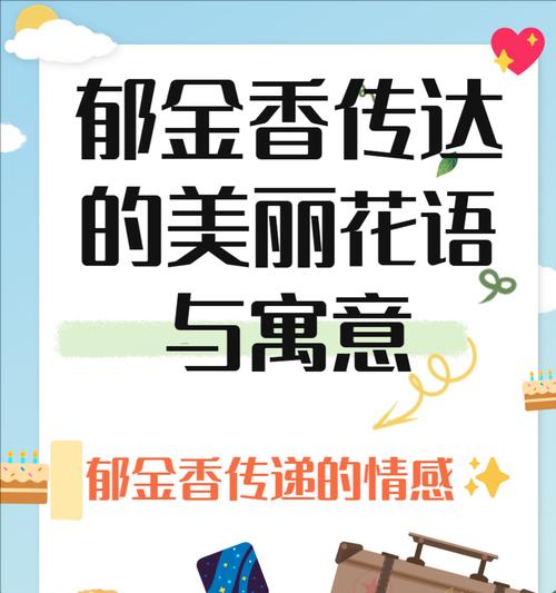 郁金香的花语及其特别含义是什么？