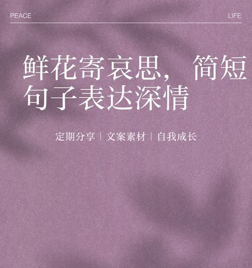 如何用花的寓意表达祝福？话语怎么说？