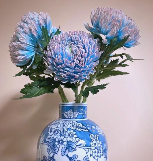 什么属于富贵象征的花是什么？富贵象征的花有哪些？
