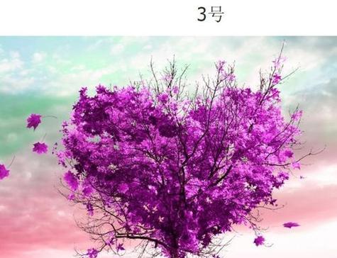 哪些花和树名寓意爱情？