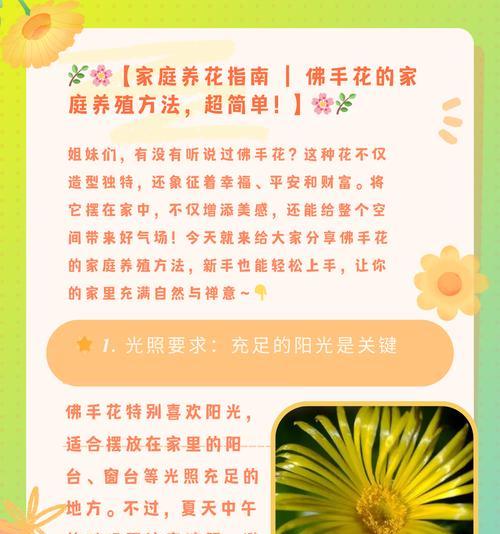 哪种花象征平安和祝福？