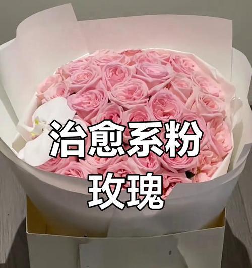玫瑰皮粉色花语是什么？皮粉色玫瑰在爱情中表达什么情感？