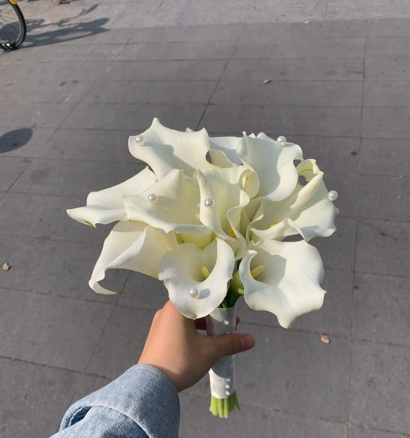 送给爸爸的手捧花有何含义？如何挑选合适的花？