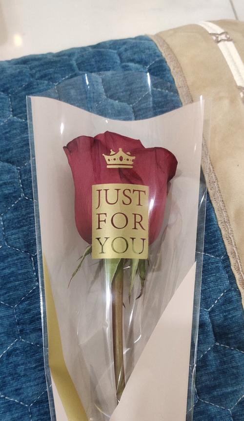 情人节玫瑰花寓意浪漫？如何表达爱意？