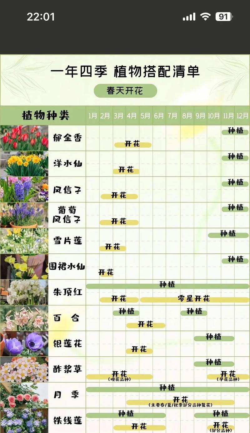 各种颜色的花分别代表什么意义？