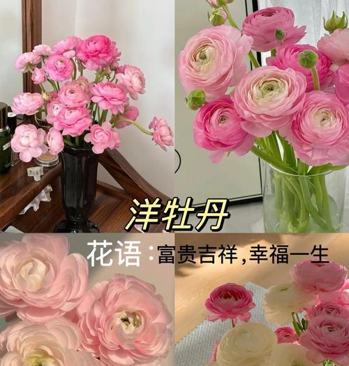 不同节日送花的花语有何不同？