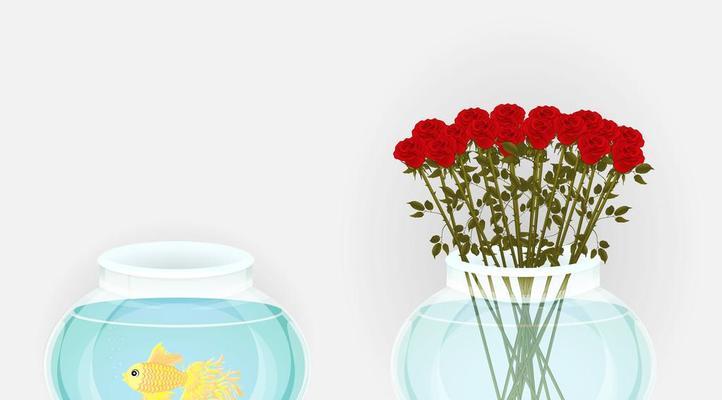 玫瑰花和鱼代表什么爱情？它们的寓意是什么？