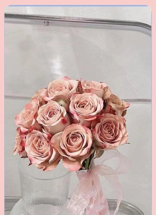 荷花玫瑰手捧花的寓意是什么？为什么选择这两种花搭配？