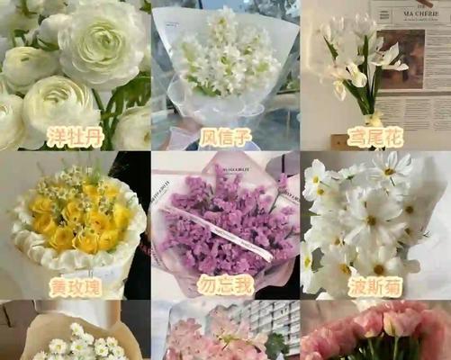 浪漫祝福的花语有哪些？如何用花语表达祝福？