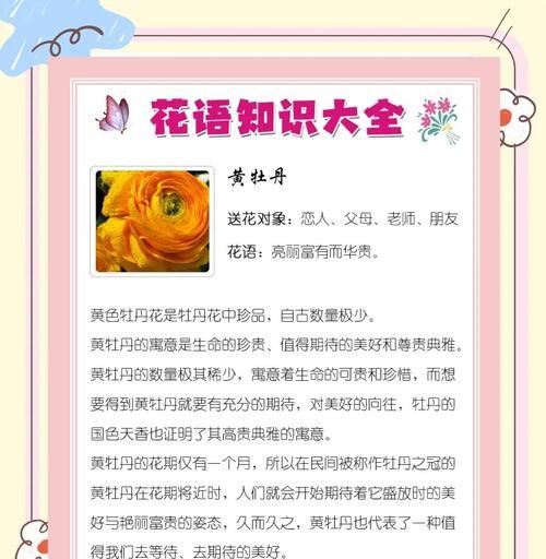 牡丹花的不同颜色各自代表什么意义？