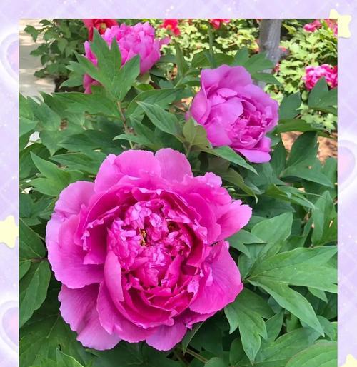 花件如意通常象征着什么？它的寓意有哪些？