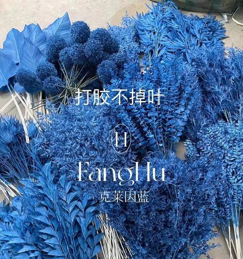 深蓝色的花代表什么寓意？深蓝色花朵的象征含义有哪些？