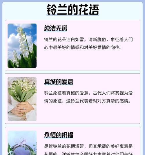 各种颜色花的含义是什么？花卉颜色与情感表达的关联？