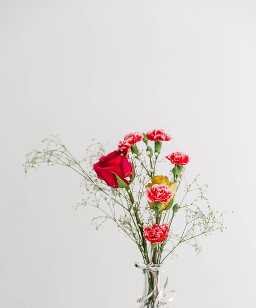 十大寓意快乐的花有哪些？送花时如何传达快乐？