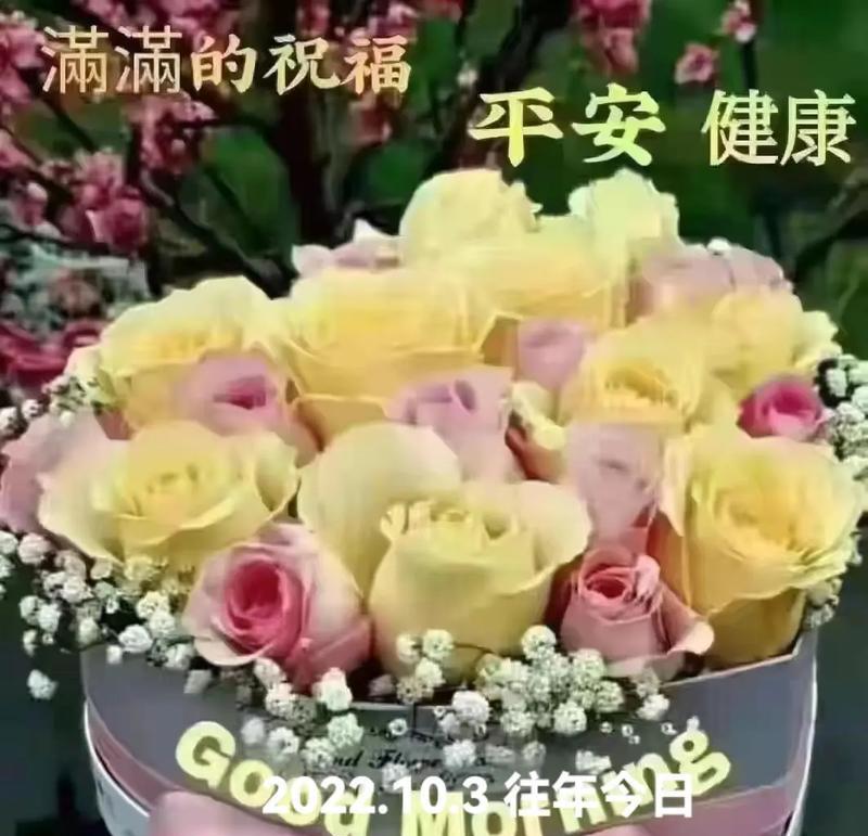 哪种花寓意平安、健康和开心？