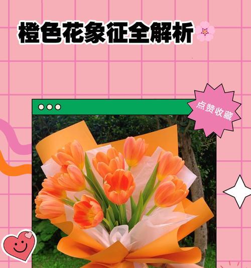 橙色牡丹花的寓意和象征是什么？橙色牡丹花代表什么？