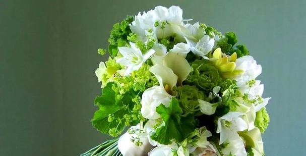 绿色手捧花代表什么？绿色手捧花有哪些寓意？
