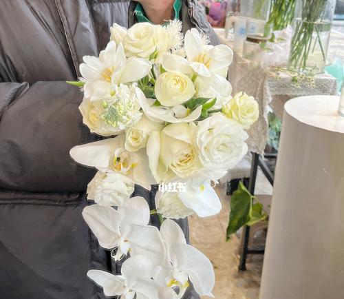 蝴蝶兰手捧花代表什么？寓意有哪些？