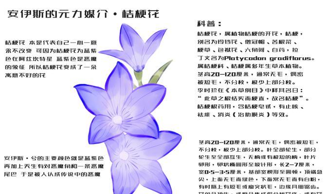 花的颜色和寓意之间有什么关系？颜色对花语的影响是什么？