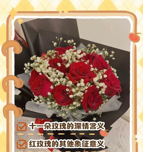 橘色玫瑰花十一朵代表什么？这种组合的花语是什么？