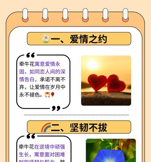 牵牛花不同颜色代表什么意义？如何根据颜色选择牵牛花？