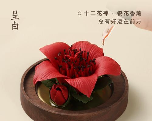 白色花朵在送礼时代表什么意义？