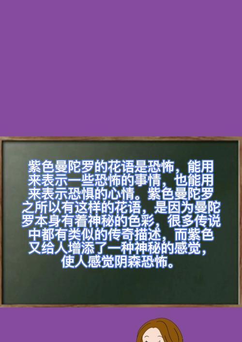 5种紫色花的花语和寓意是什么？它们在生活中的应用有哪些？
