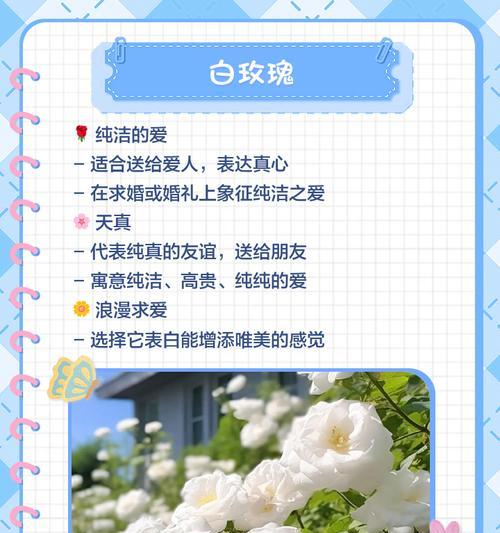 哪些花具有不常见的爱情含义？如何用稀有花语表达爱情？