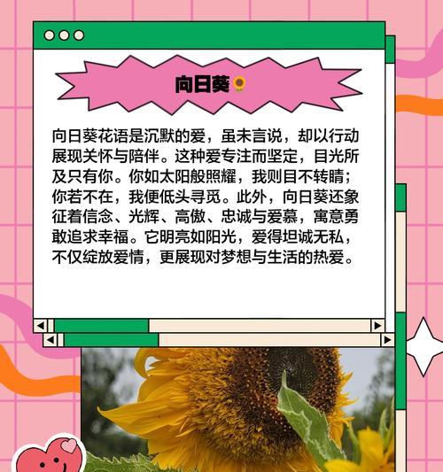 哪些花具有不常见的爱情含义？如何用稀有花语表达爱情？