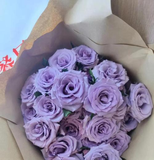 紫色玫瑰代表什么意义？