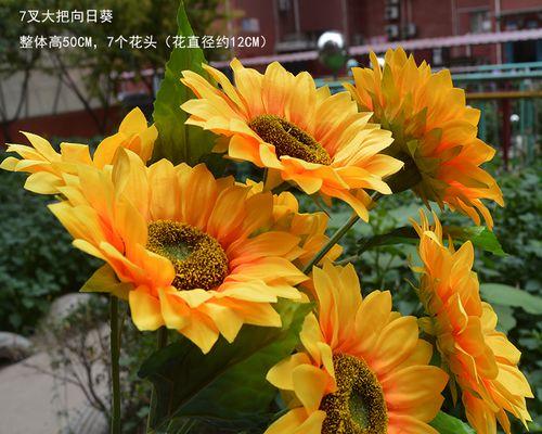 手捧假花向日葵代表了什么？