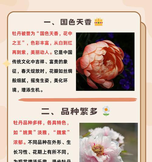 富贵芙蓉的花语有哪些含义？