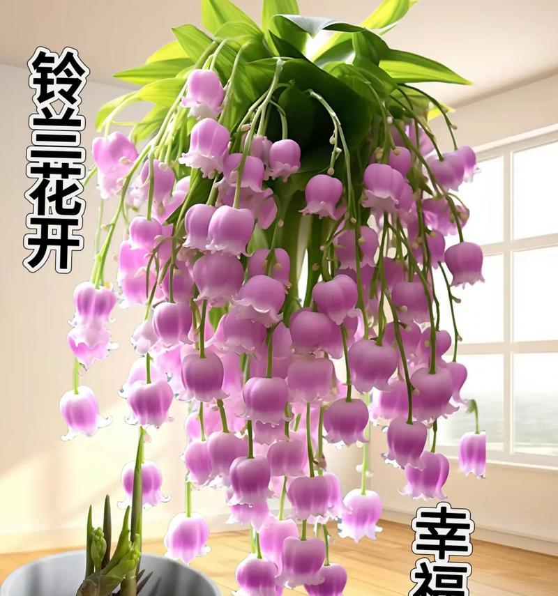 哪种花寓意着平安？