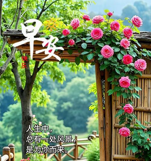 什么花寓意祝福前路？祝福前路的花有哪些？