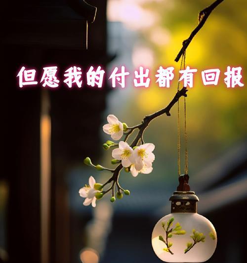 爱情似雾也似花是什么意思？它表达的情感有哪些？