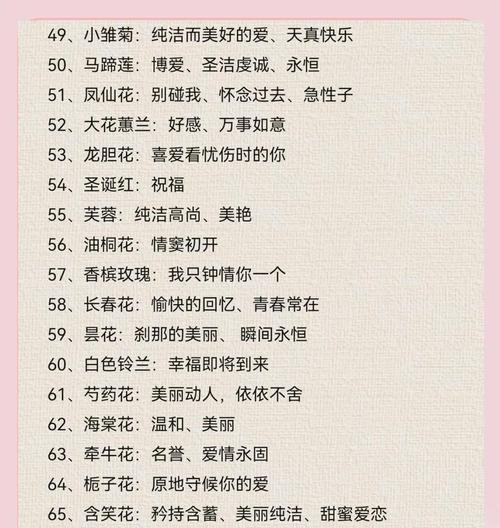 不同节日的花语有哪些？