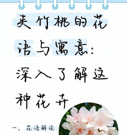 白色17朵花的寓意和象征是什么？