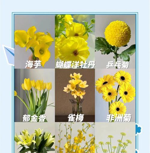 黄色花送给朋友有何含义？黄色花代表的友情寓意是什么？