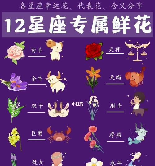 吉庆花语礼盒包含哪些花？吉庆花语礼盒的寓意是什么？