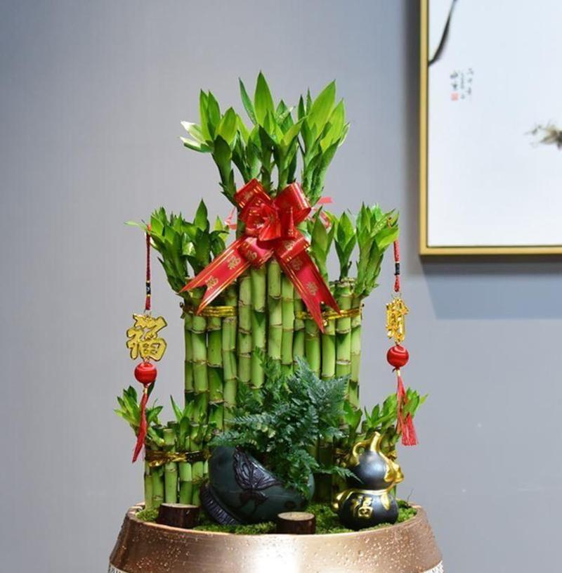 哪些花具有祥瑞寓意？