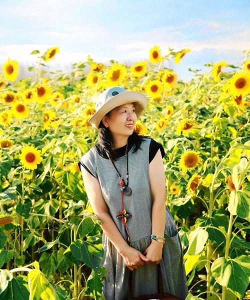 金色暖阳花代表什么？花语有何深意？