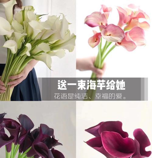 哪些花寓意表示幸福？幸福花语有哪些？