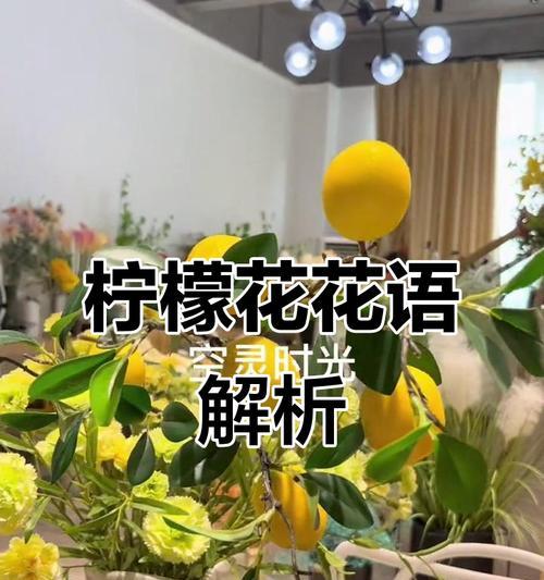 哪种颜色的花寓意消暑？它们的花语有哪些？