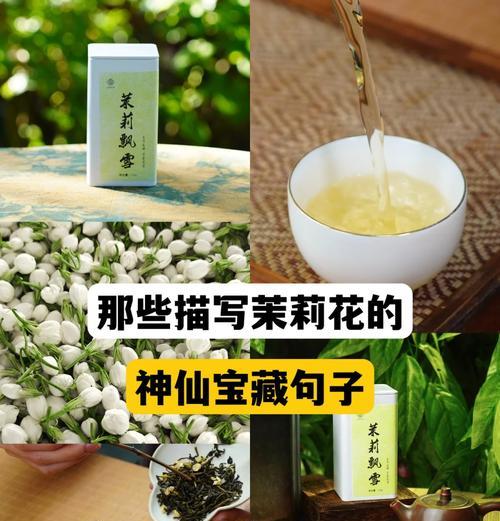 茉莉花象征爱情有哪些句子？