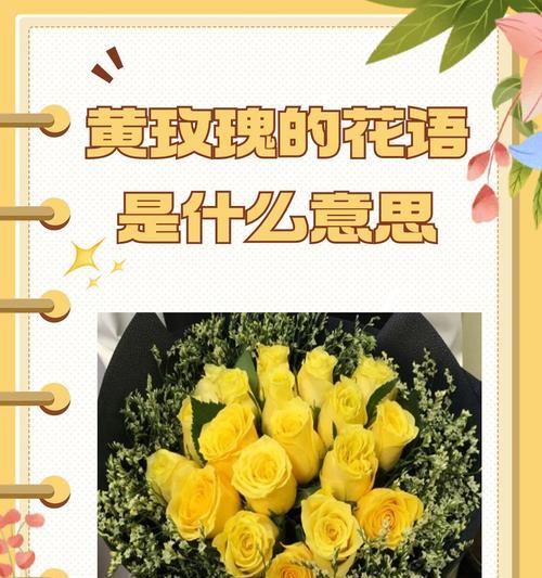 哪些花寓意爱情美好？爱情含义好的花有哪些？