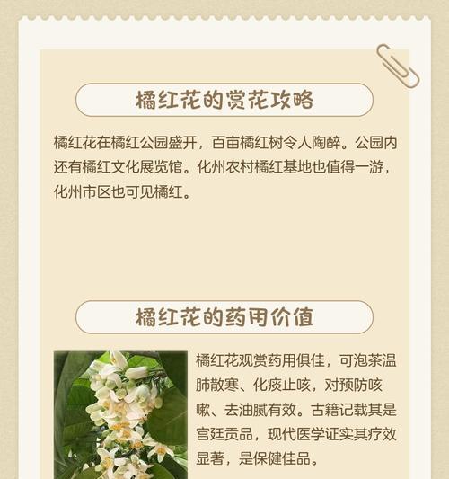 秋天送橘色花有何寓意？它象征着什么？